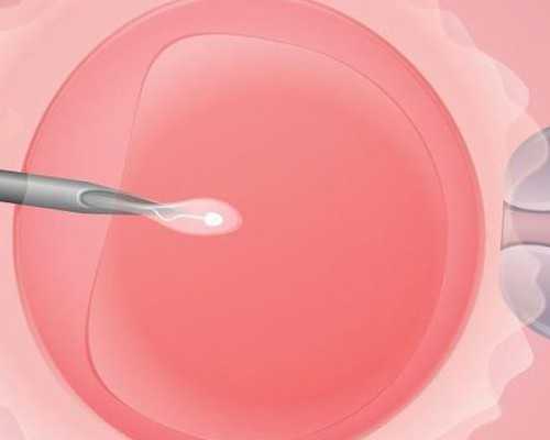 30岁试管一年多没工作&公立医院供卵费用,四介疫苗间隔多久打