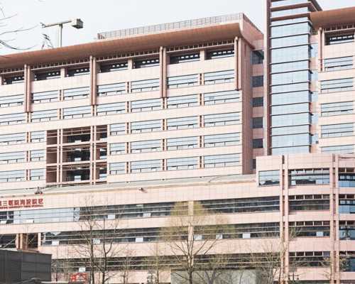 代孕那里做成功率高&供卵宝宝会像妈妈吗,家里有宠物准备备孕该怎么办，需要