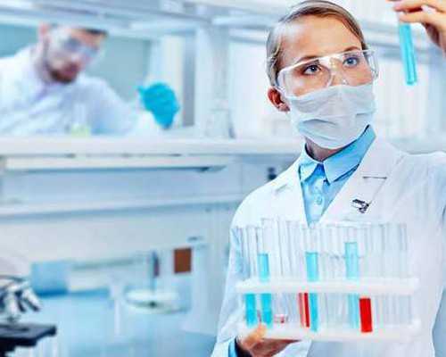 备孕家庭是否应该食用黄连来保持身体健康？备孕期间的注意事项及禁忌