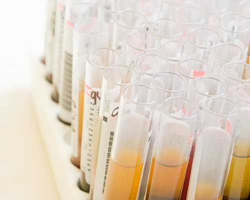 50岁做试管还能成功吗&山大一院供卵,提升备孕成功率的方法！一文弄懂什么是