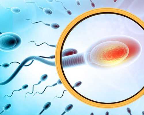 南昌正规的代孕网 南昌三甲医院——南昌大学第一附属医院 ‘b超如何测男女’