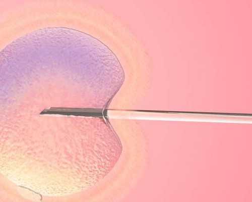 代怀服务_辅助代怀网,输卵管堵塞备孕半年无果，分享我在上海九院做第二代试