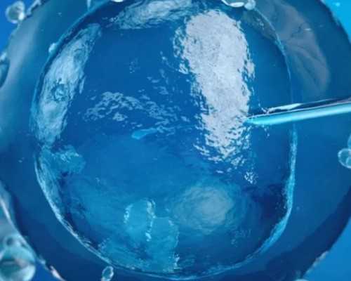 哪有代怀孕_借卵代怀,试管婴儿能决定生男女吗？-南京代怀供卵公司-胚胎移植