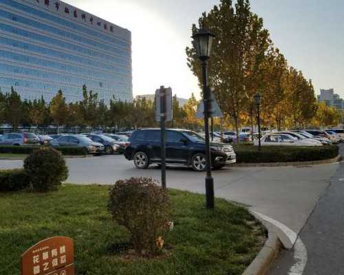 备孕喝黑豆浆的好处及原因