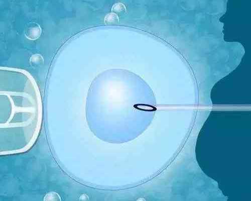 哪有代怀孕_借卵代怀,【江苏供卵、北京供卵医院哪家好点】备孕三个月，终于