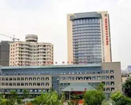 广州**试管技术怎样呢？**试管的费用要多少