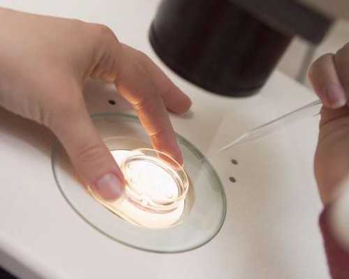 弱精症试管有成功吗&卵巢早衰指标amh,男性不孕不育的原因和治疗方法